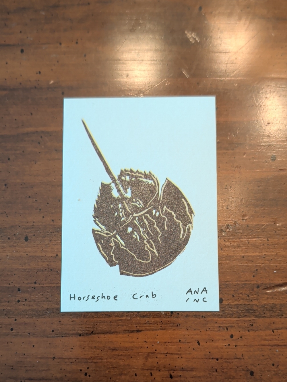 Inciardi Maine Mini Print Horseshoe Crab